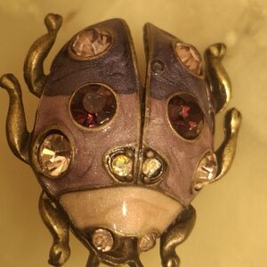 Vintage Style Beetle Brooch with Gem Accents